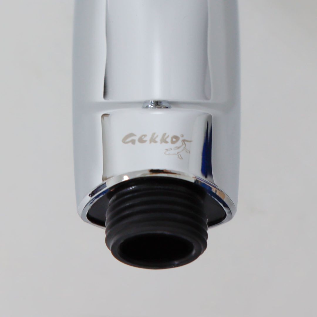 Лейка для душа HS010/3F01 GEKKO